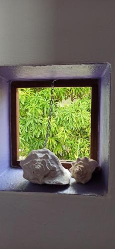 a window with two pillows sitting on a window sill at Amaranto Bed and Breakfast in Cozumel