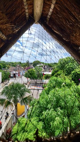 a glass domed ceiling with plants in a building at Amaranto Bed and Breakfast in Cozumel