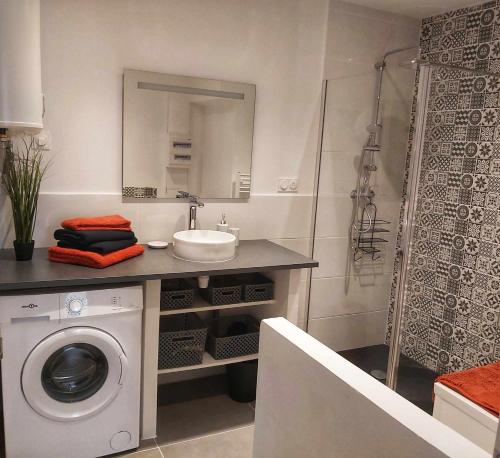 een badkamer met een wastafel en een wasmachine bij La Cachette in Châteauneuf-de-Galaure