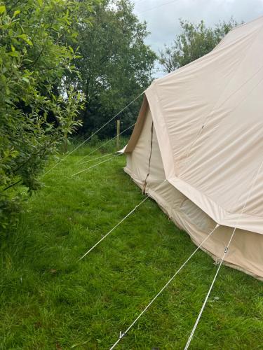 Κήπος έξω από το Bluebell Tent at Ballyward Croft
