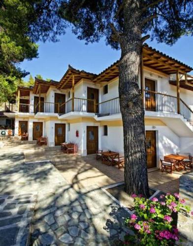 a large house with a tree in front of it at The Pine Trees in Agnontas