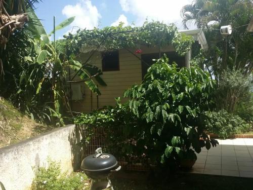Aed väljaspool majutusasutust Studio cosy avec vue sur mer à Case-Pilote, 21 m², piscine