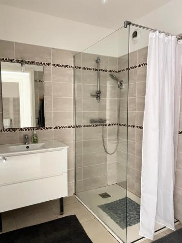 une salle de bain avec douche et lavabo dans l'établissement Charmant T3 près du port, à Ajaccio