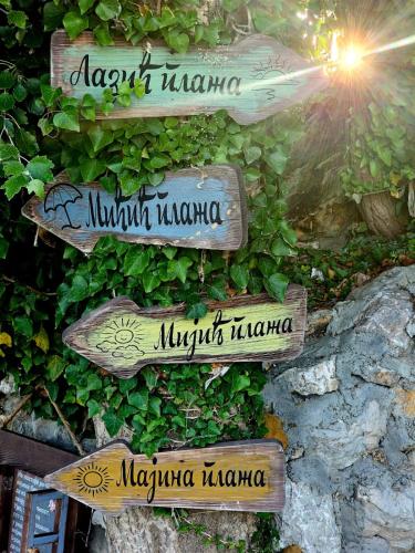 a group of signs on a wall with plants at Drinski kej in Zvornik