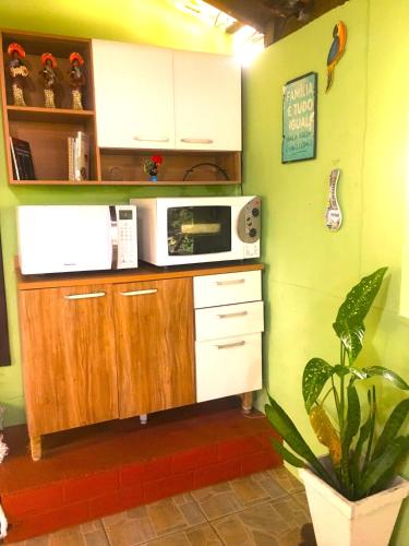 a kitchen with a microwave and a plant at Rancho Caiçara in São Francisco do Sul