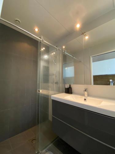 une salle de bain avec un lavabo et un miroir dans l'établissement Cozy Apartment Nice Valrose, à Nice