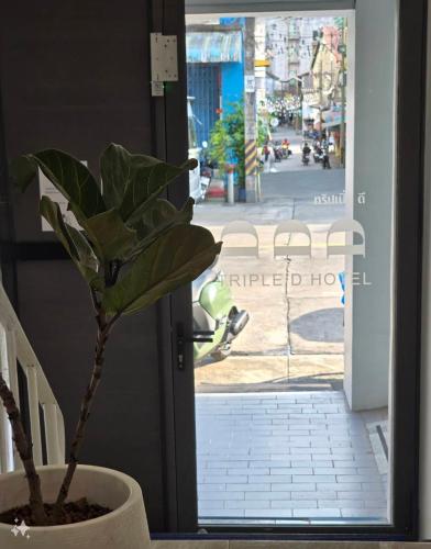 a plant in a pot in front of a door at Triple D Hotel in Betong