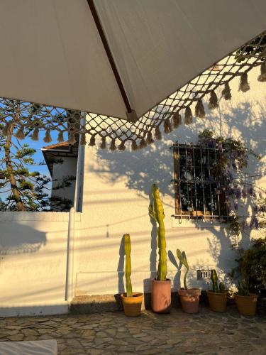 a white building with cactuses and an umbrella at La Posada Coliving in Viña del Mar
