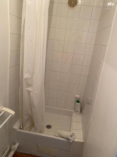 une salle de bain avec une douche avec un rideau de douche dans l'établissement Appartement bien placé, à Paris