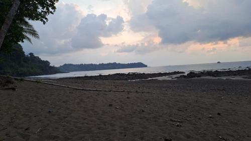 a sandy beach with a hammock on the beach at Hostel Hook and Cook in Drake