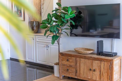 a plant sitting on a wooden dresser next to a tv at Waikiki Beach Ocean View King Bed & Free Parking in Honolulu