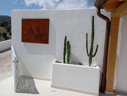 una pared blanca con un cactus y un cuadro en Aura Apartments, en Mattinata