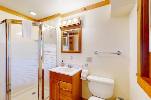 a bathroom with a toilet sink and a shower at Summit Solitude in Franconia