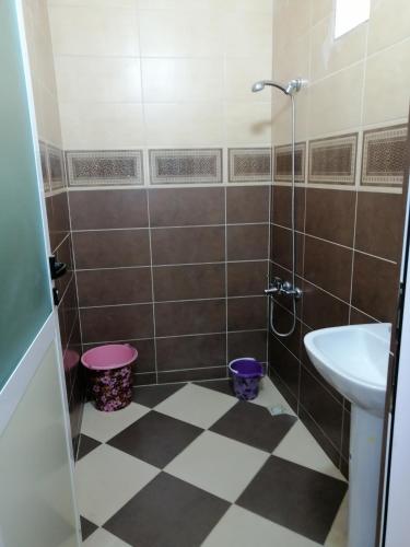 a bathroom with a sink and a toilet and a shower at Bokidan appartement in Andalouciene