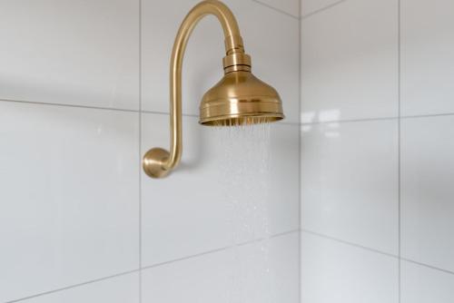 une douche avec un pommeau de douche doré et de l'eau dans l'établissement Timeless Elegance with City Views Wi-Fi & Parking, à Launceston