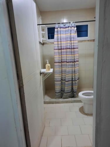 里奥阿查Apartamento Victoria B的带马桶和浴帘的浴室