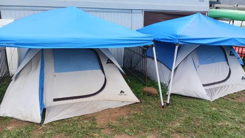 twee blauwe en witte tenten in het gras bij Robbins Estate in Wailuku