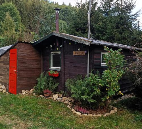 Folwark Noclegowy w Nowej Morawie - Tomaszówka na wys 600 m