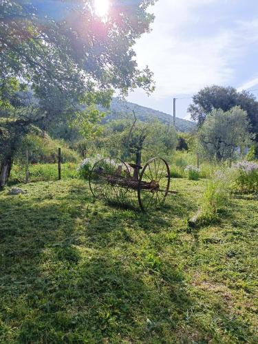 a cart sitting in the grass in a field at Casaletto in Sabina in SantʼAndrea