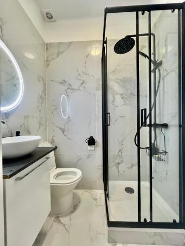 une salle de bain avec une douche, des toilettes et un lavabo dans l'établissement Charming Studio with Terrace, à Nice