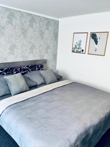 a bedroom with a large bed with blue pillows at Apartmány na Zahradní in Břeclav