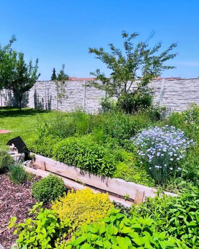 a garden with flowers and plants in a yard at Apartmány na Zahradní in Břeclav