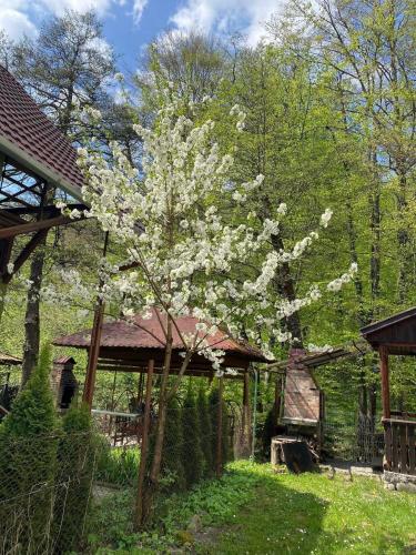 Gallery image of Casa Micul Arin in Sovata
