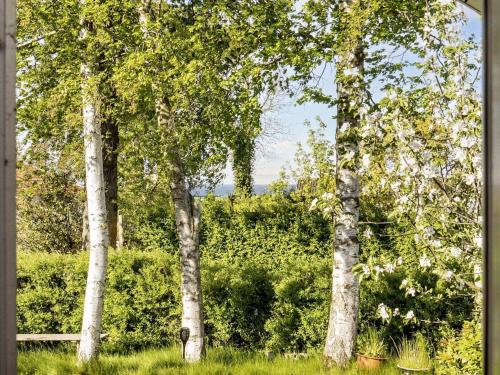 a group of trees in a field of grass at Cozy Retreat by Koge Bay - By Traum Ferienwohnungen in Strøby
