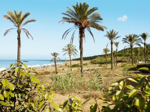 a group of palm trees on the beach at Mandola Rosa at Riviera Olympia, A Grecotel Resort to Live in Loutra Killinis