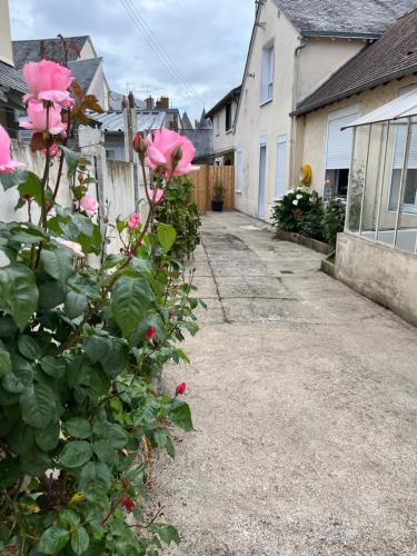 einen Rosenbusch mit rosa Blumen im Hof in der Unterkunft Gîte T3 cœur de ville in Sully-sur-Loire