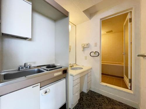 四日市的住宿－Hotel Castle Inn Yokkaichi，一间带水槽和镜子的小浴室