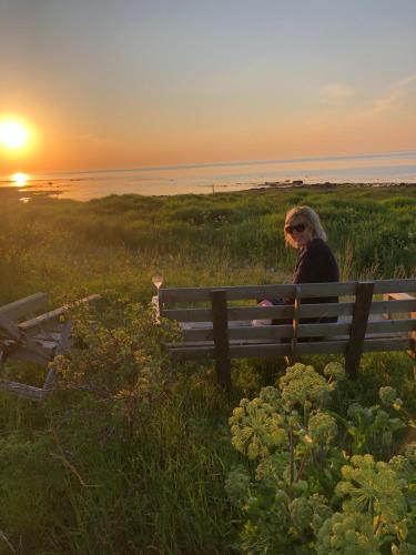a woman sitting on a bench watching the sunset at Nice child-friendly house 200m from beautiful beach,near Kullaberg in Farhult