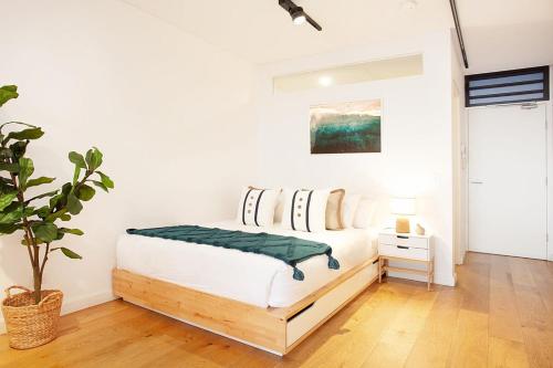 a white bedroom with a bed and a potted plant at Stylish Studio with Balcony near Darling Square in Sydney