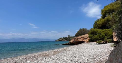 Φυσικό τοπίο κοντά σε αυτό το διαμέρισμα