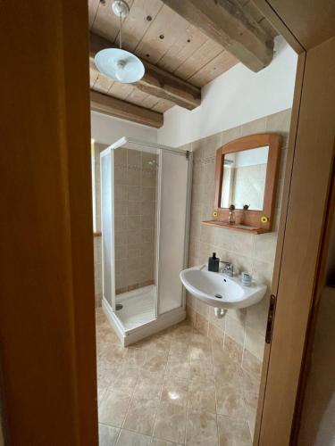 ein Bad mit einem Waschbecken und einer Dusche in der Unterkunft Agriturismo Maso Fumas in Canale dʼAgordo