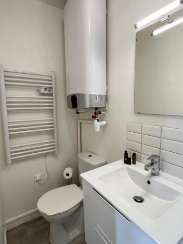 une salle de bain avec un lavabo, des toilettes et un miroir dans l'établissement Vivez l'Atlas-Proche de la plage, au Havre