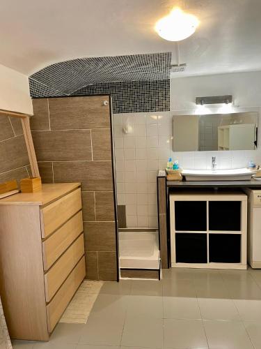 une petite cuisine avec un évier et un comptoir dans l'établissement Grand appartement au centre de l'Ecusson, à Montpellier