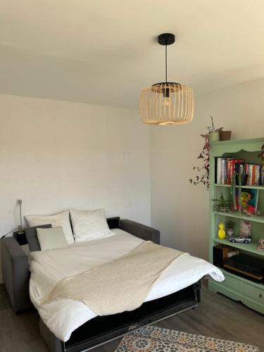 Chambre spatieuse في بريست: غرفة نوم مع سرير ورف كتاب