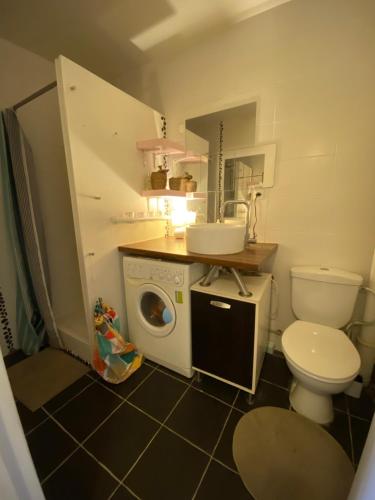 une salle de bain avec toilettes et lavabo et une machine à laver dans l'établissement Un pied-à-terre à Nogent-sur-marne, à Nogent-sur-Marne