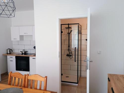 Dapur atau dapur kecil di Chata Pod Różą