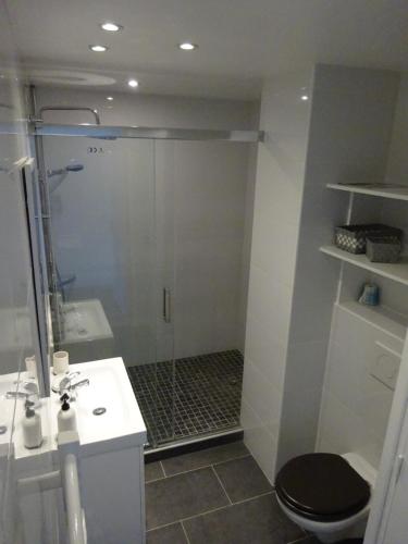 une salle de bain avec une douche, des toilettes et un lavabo dans l'établissement Studio terrasse-Croisette, Palais Festivals 10 min, à Cannes