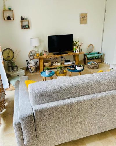 a living room with a couch and a tv at Gîte le grand chacel in Sourcieux-les-Mines