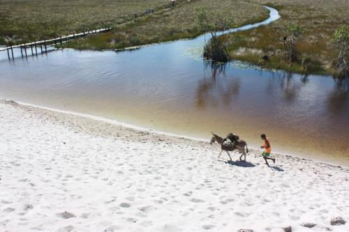a person walking a horse on a beach at Hotel Portal Do Mar in Conde
