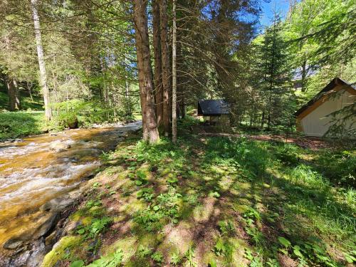 a picnic table in the woods next to a forest at Glamping Tent Water Village Rogla in Oplotnica