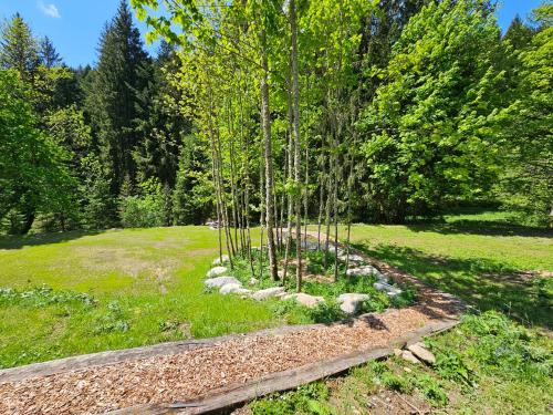 a group of trees in a field with rocks at Glamping Tent Water Village Rogla in Oplotnica