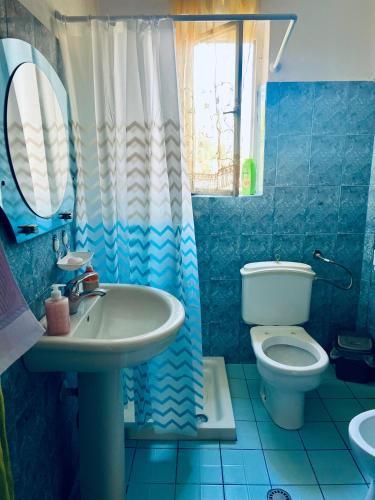 Baño azul con aseo y lavamanos en Guest House Leskovik, en Leskovik