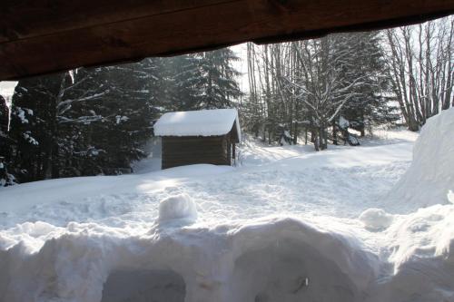 a snow covered yard with a house in the background at Les Curtillets in Bellevaux