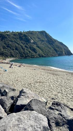 a beach with rocks in the sand and the water at Hotel Boutique Ideal in Ischia