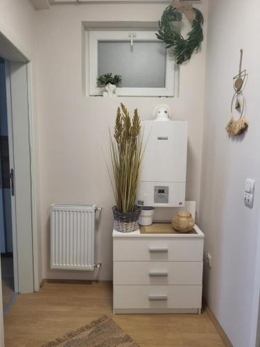 a white dresser with a plant on it in a room at Regina S in Jagodina