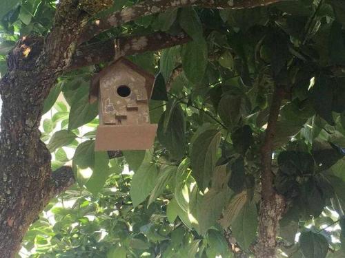 a bird house in a tree with leaves at Quinta da Pousada Casa de Campo in Santa Marta de Penaguião